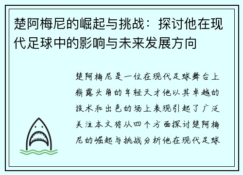 楚阿梅尼的崛起与挑战：探讨他在现代足球中的影响与未来发展方向